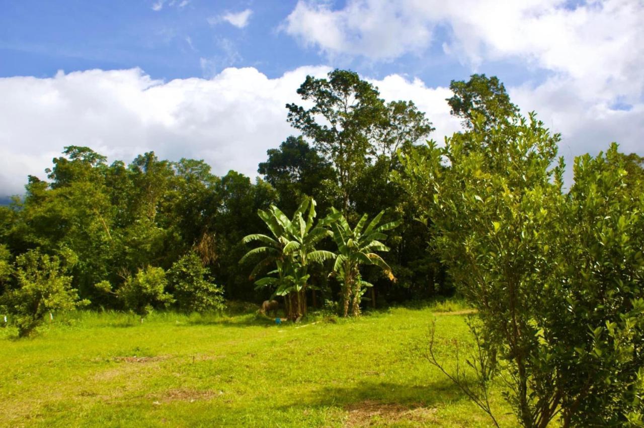 Lorenzo'S Farm And Leisure Santo Tomas Exterior foto